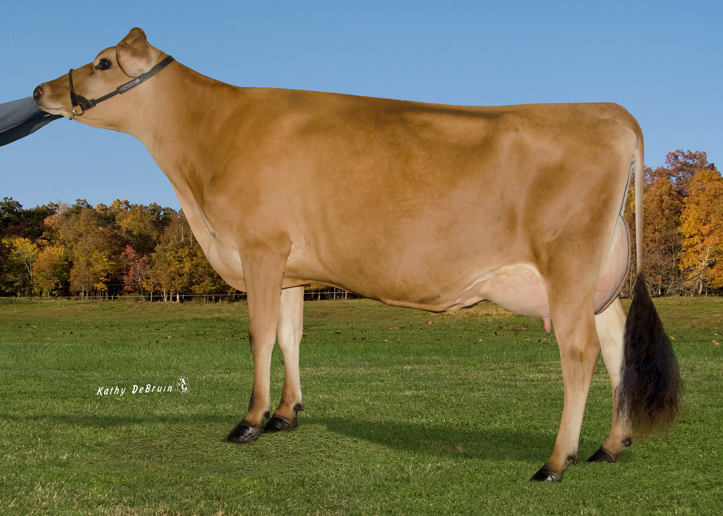 Pine Tree Dairy IVF Store pine-tree-dairy-ivf-store